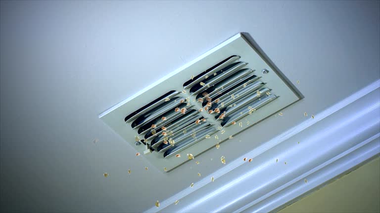 Best Affordable Air Duct Cleaning  in St Martinville, LA